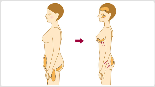 ����֬������