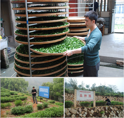 韩啸 中国较好的整形医生 中国较好的整容专家