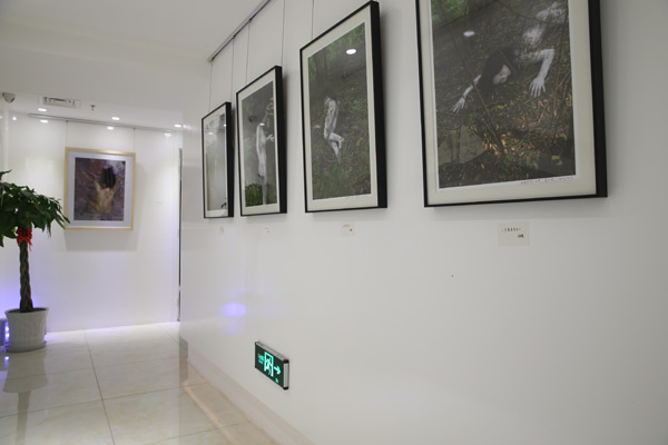 形·体—当代摄影展(图9)